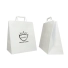Customized 28x17x32 CM 28x17x32 CM | BOX PAPER BAG| FLEXO PRINTING IN ONE COLOR ON PRE-DEFINED AREAS ON BOTH SIDES