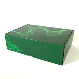 Customized Home 43x33x13 CM | POSTPACK 2 PIECES | OFFSET PRINTING