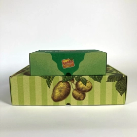 Customized Home 17x22x7 CM | POSTPACK | OFFSET PRINTING