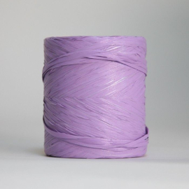 Rubans Ruban raphia (12,5mmx200m)