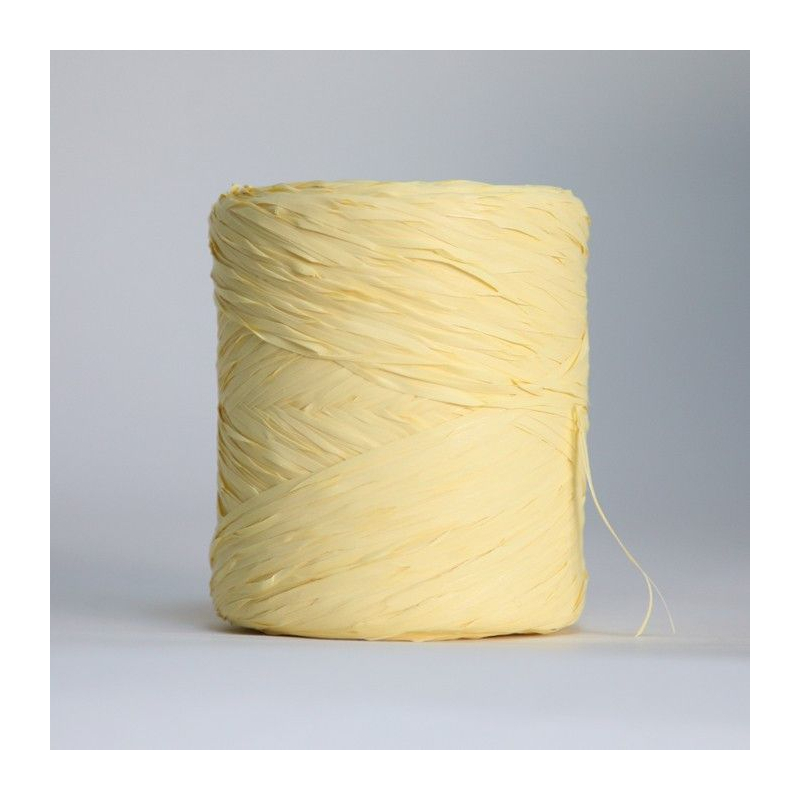 Rubans Ruban raphia (12,5mmx200m)