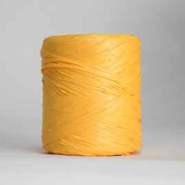 Rubans Ruban raphia (12,5mmx200m)