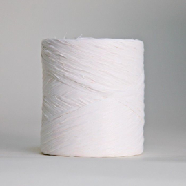 Rubans Ruban raphia (12,5mmx200m)