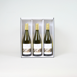 Customized Inserts Insert for 3x bottles box