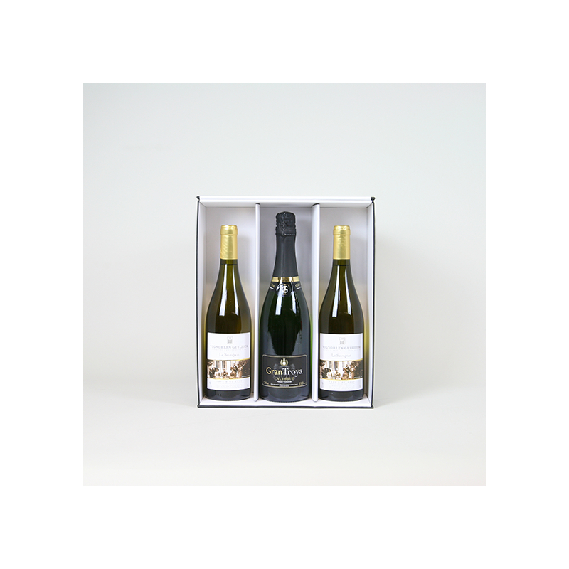 Customized Inserts Insert for 3x bottles box