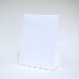 Pochettes papier Noblesse Basic
