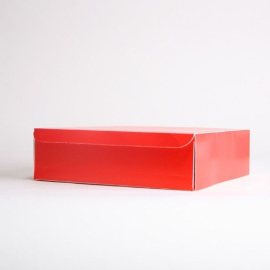 Customized Flat delivered boxes Catering box