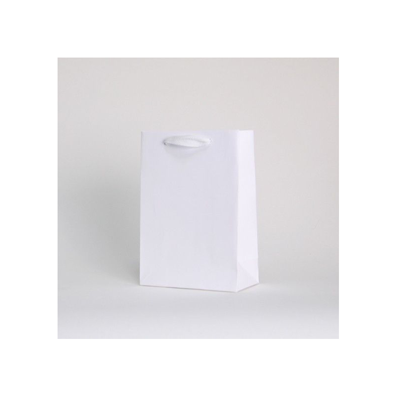 Customized Bags with rope or ribbons handles Laminated paper bag