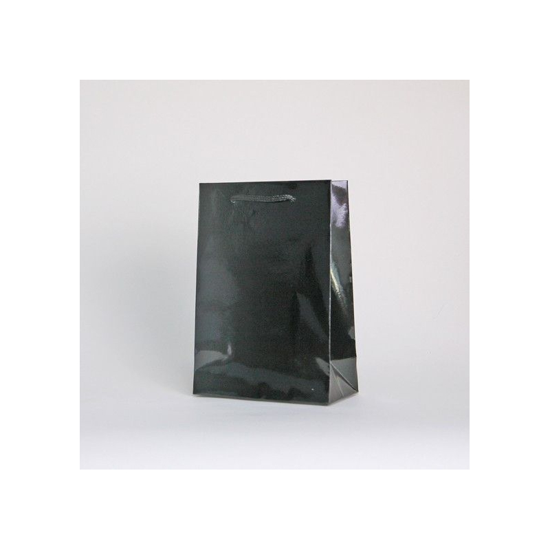 Customized Bags with rope or ribbons handles Laminated paper bag