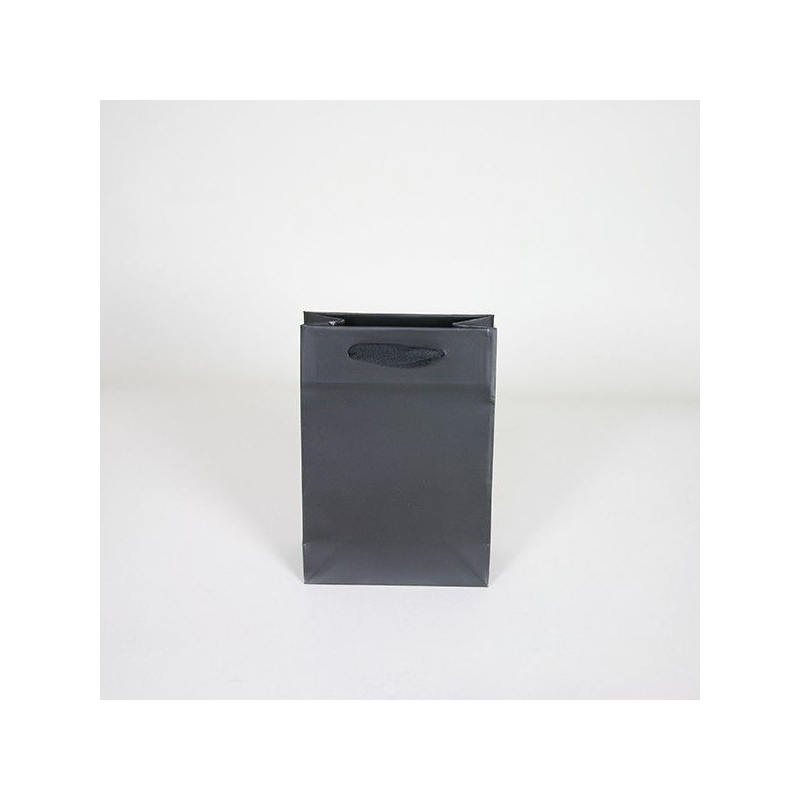 Customized Bags with rope or ribbons handles Laminated paper bag
