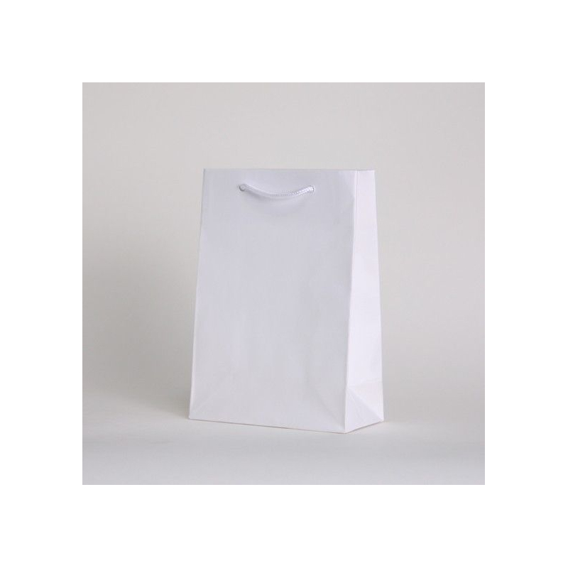Customized Bags with rope or ribbons handles Elastokraft paper bag