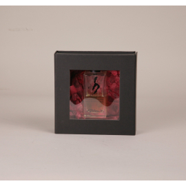 Customized Magnetic boxes CLEARBOX with window