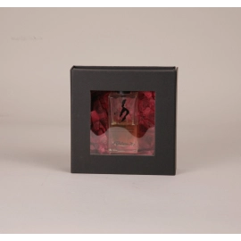 Customized Magnetic boxes CLEARBOX with window