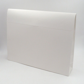 Pochettes papier Noblesse Basic