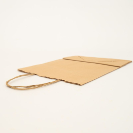Customized Machine Made Paper Bags Twisted handles bag Safari