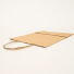 Customized Machine Made Paper Bags Twisted handles bag Safari