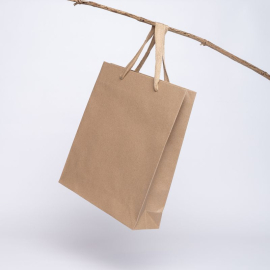 Sacs Papier Faits En Machine Sac Noblesse Kraft