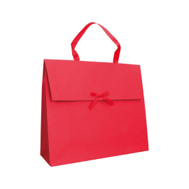 Customized Paper pouches Gift bag with Kelly handles
