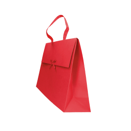 Customized Paper pouches Gift bag with Kelly handles