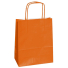 Sacs Sac Papier Safari FSC