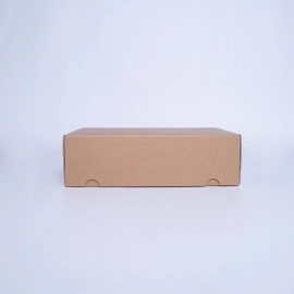 Customized Shipping boxes POSTPACK REINFORCED (SUITABLE FOR WONDERBOX)