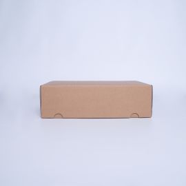 Boîtes d'expédition Postpack renforcée (ADAPTEE AUX WONDERBOX)