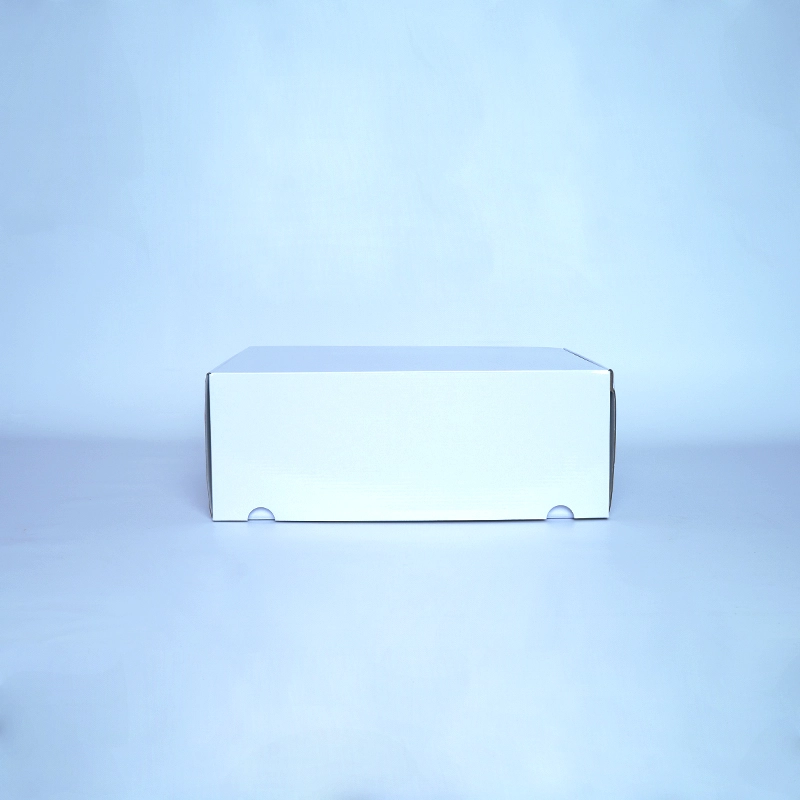 Customized Customizable laminated postpack SHIPPING BOX laminated POSTPACK (SUITABLE FOR WONDERBOX AND EVOBOX)