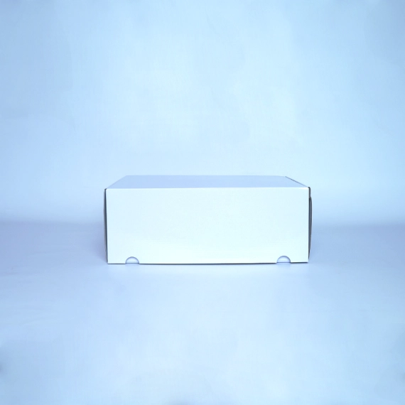 Customized Customizable laminated postpack SHIPPING BOX laminated POSTPACK (SUITABLE FOR WONDERBOX AND EVOBOX)
