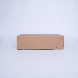 POSTPACK EXTRA FORTE | CAIXA DE ENVIO RESISTENTE