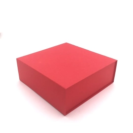 WONDERBOX | 25X25X9 CM | BOITE DE LUXE