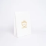 NOBLESSE PREMIUM PAPER POUCH | 22x8x29 CM | HIGH-END POUCH