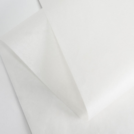 Tissue Paper | 47x67 cm