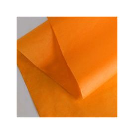 PAPEL DE SEDA | 50 × 75 CM
