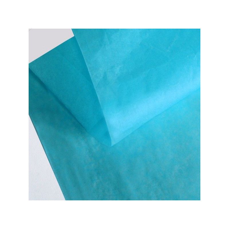PAPEL DE SEDA | 50 × 75 CM