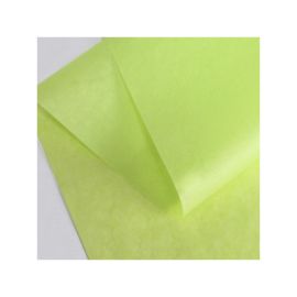 PAPEL DE SEDA | 50 × 75 CM
