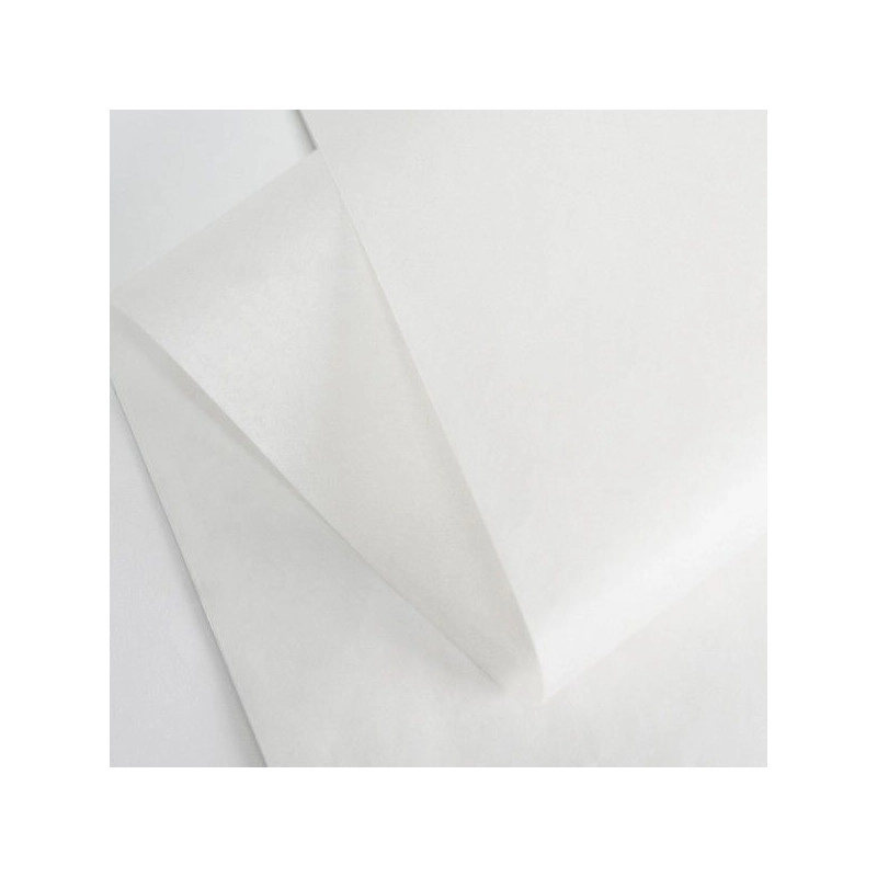 PAPIER DE SOIE | 100X75 CM