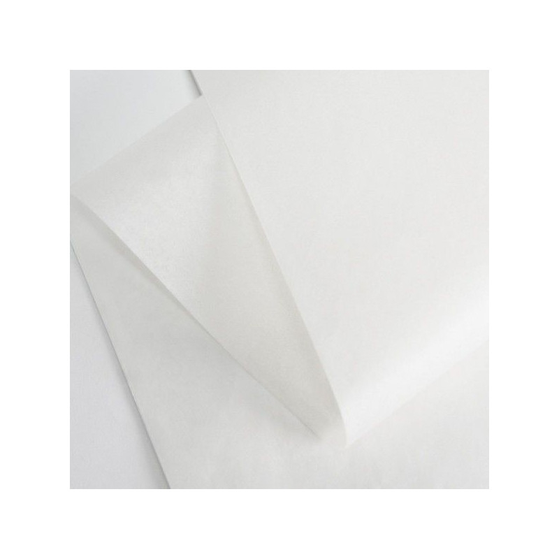 Tissue Paper | 100x75 cm