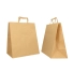NATURAL KRAFT BOX BAG WITH FLAT HANDLES - Box | Centuryprint