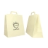 BOX FLAT HANDLES COLORED BAG - Box | Centuryprint
