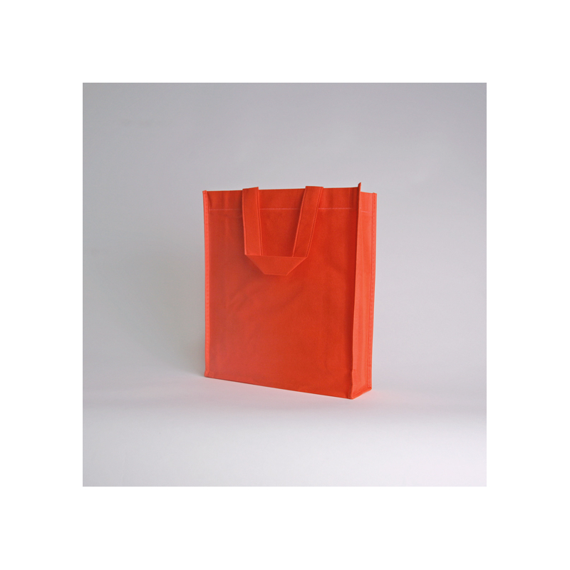 LUS BAG | 25X30X10 CM | NON-WOVEN FABRIC BAG - Non-woven | Centuryp...