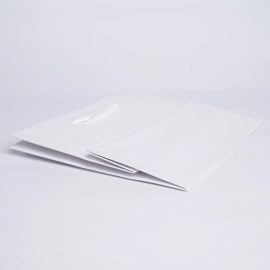 NOBLESSE PREMIUM PAPER BAG | LUXURY PAPER BAG - Noblesse | Centuryp...