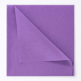 PAPEL DE SEDA | 50 × 75 CM