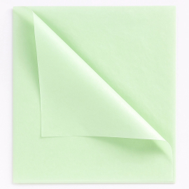 PAPIER DE SOIE | 50X75 CM