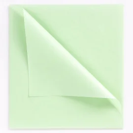 Tissue Paper | 50x75 cm