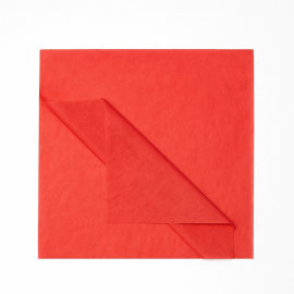 PAPEL DE SEDA | 50 × 75 CM