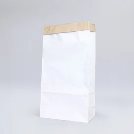 Double layered cement paper pouch