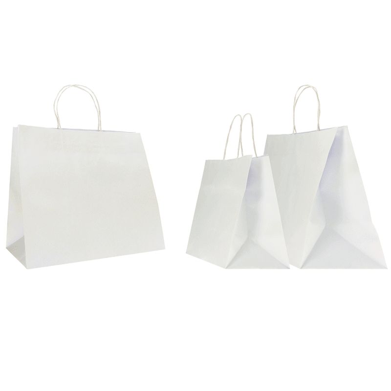 SAC PAPIER SAFARI COLORÉ AVEC POIGNÉES TORSADÉES