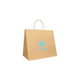 COLORED SAFARI PAPER BAG WITH TWISTED HANDLES