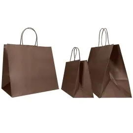 COLORED SAFARI PAPER BAG WITH TWISTED HANDLES