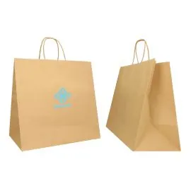 COLORED SAFARI PAPER BAG WITH TWISTED HANDLES
